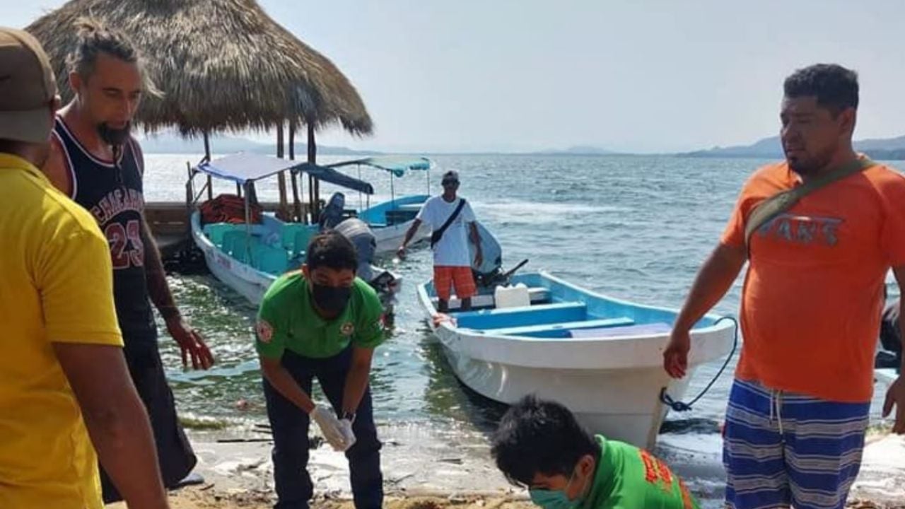 Oaxaca Atacan A Machetazos A Argentinos En Las Lagunas De Chacahua