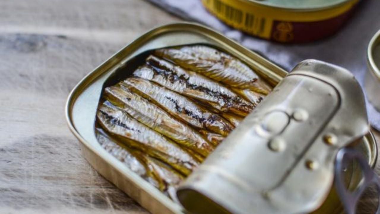 las-10-mejores-marcas-de-sardinas-en-lata-seg-n-profeco-marcas