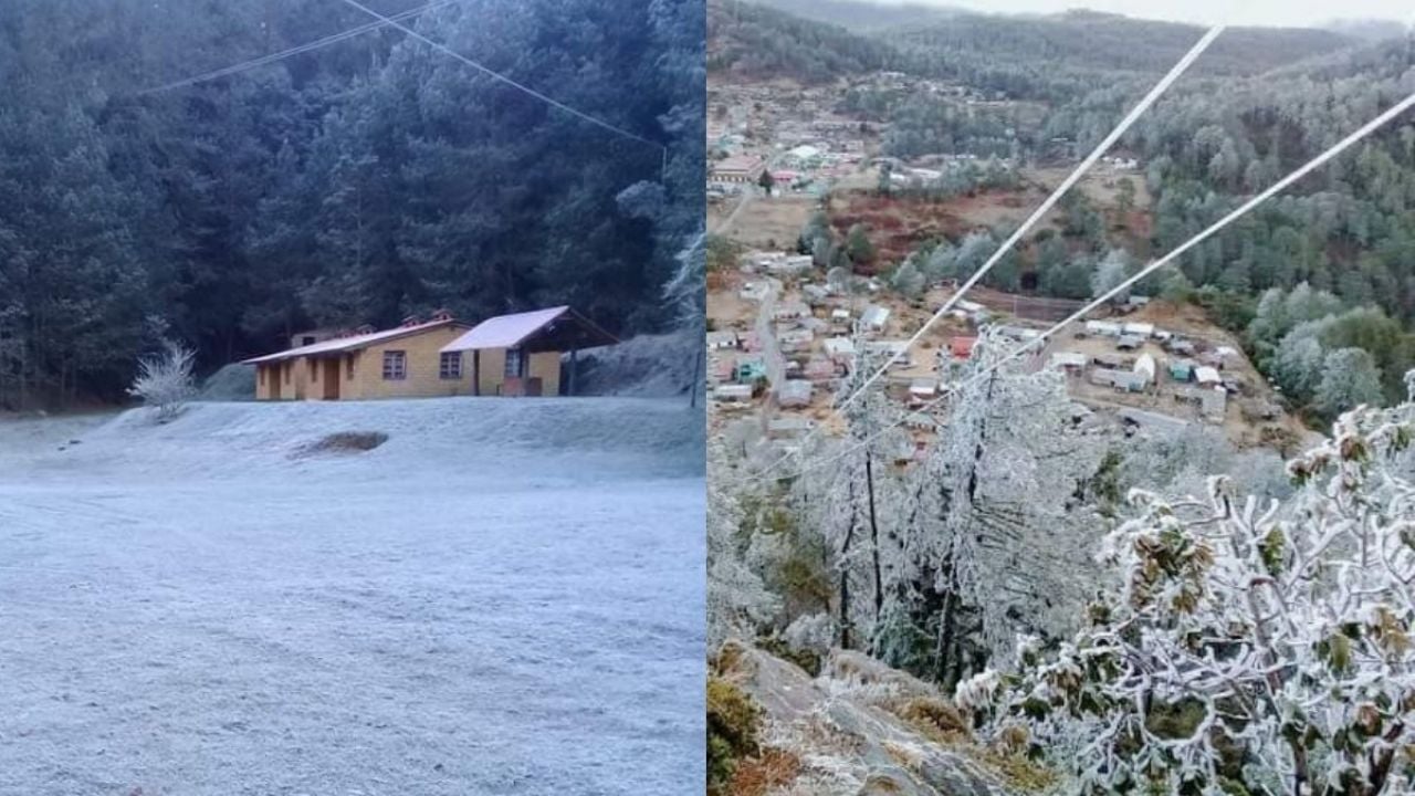 Nieve En Oaxaca Estas Son Las Imágenes De La Sierra Juárez Pintada De