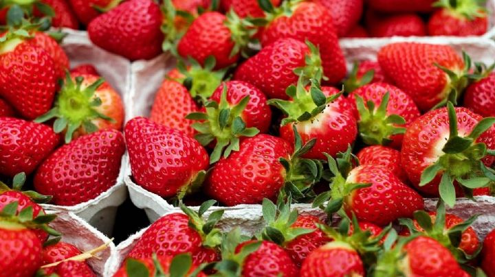 ¡Revisa tu refri! Reportan fresas congeladas con posible Hepatitis A; estas son las marcas