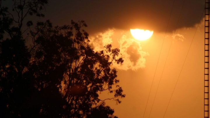 ¡Saca la cobija! DOMINGO 15 de DICIEMBRE con heladas, lluvias y viento fuerte en OAXACA