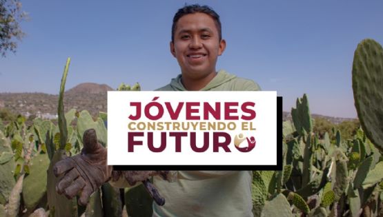 ¿Cuáles son las fechas de REGISTRO a Jóvenes Construyendo el Futuro 2025 en OAXACA y de cuánto será