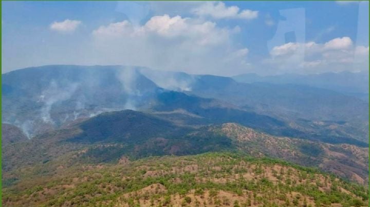 VIDEO | Controlan incendio en el Valle de Tlacolula que dejó 5 comuneros fallecidos