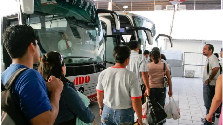 México te abraza: ¿Cómo trasladarán a migrantes oaxaqueños desde la frontera mexicana a la entidad?