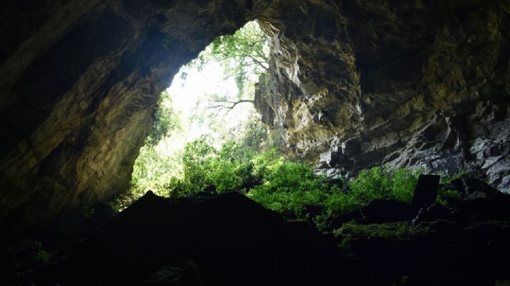 La Cueva de los seres: Descubre las misteriosas formaciones rocosas en Huautla, OAXACA