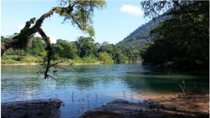 ¡Para este calorón! La Perla de Chinantla, un lugar mágico en la cuenca del Papaloapan