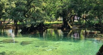 Monte Flor: Un balneario natural con aguas de manantial para refrescar tus sentidos en OAXACA