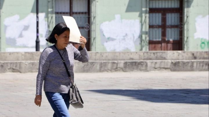 Ola de calor en OAXACA: Alertan por temperaturas de hasta 40 grados en todo el estado