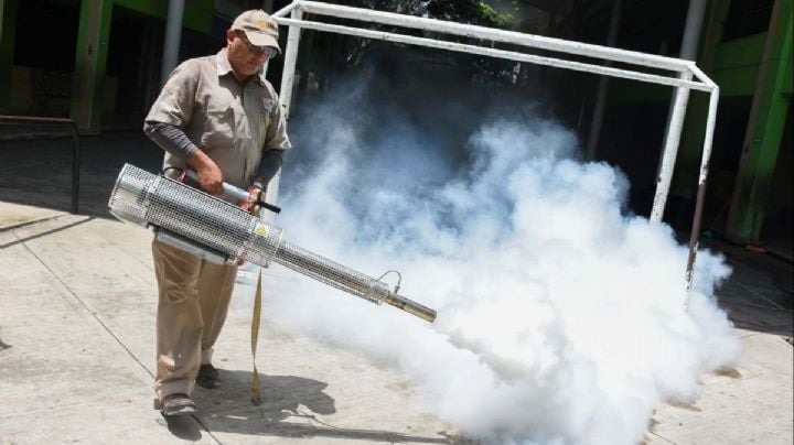 Temporada de lluvias en OAXACA: Salud emite recomendaciones para evitar brotes de dengue