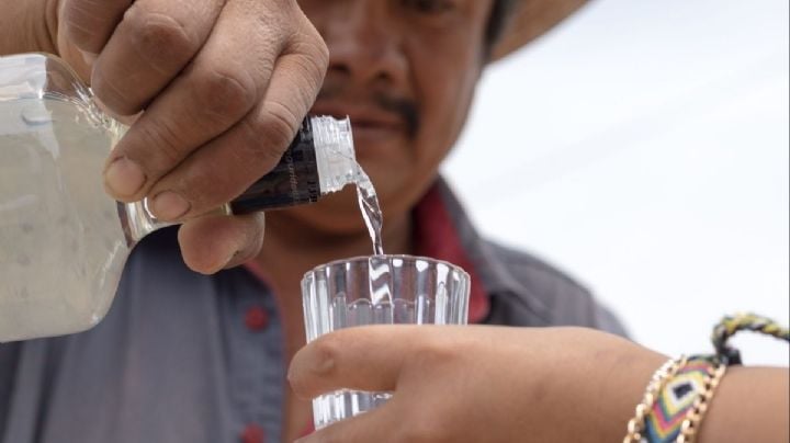 ¿Cuándo es la Feria del Mezcal de OAXACA 2025 dentro de las fiestas de la Guelaguetza? Fechas y sede