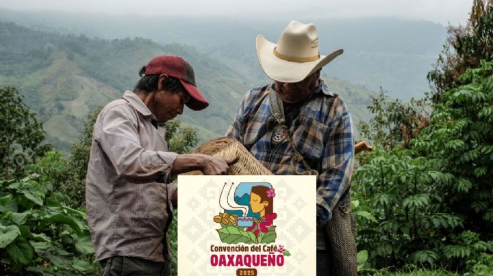VIVE OAXACA | FECHA y HORA de la Convención del Café Oaxaqueño