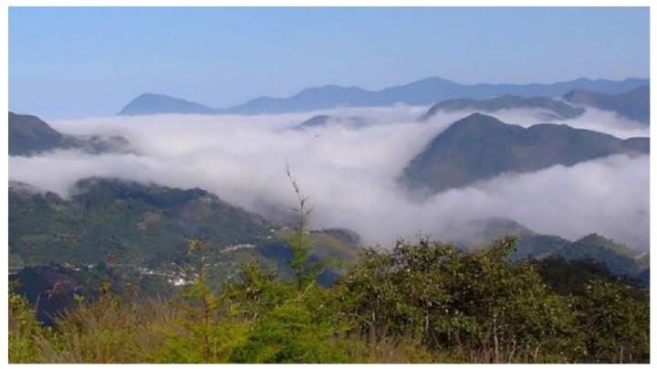 El pueblo mágico de OAXACA famoso por sus plantas comestibles, ideal para los que buscan una experiencia espiritual
