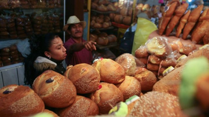 Reviven los mercados tradicionales de OAXACA: Nuevo reglamento busca proteger la esencia de comercios y comerciantes