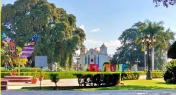 Este pueblito oaxaqueño cuenta con un gigante milenario y está rodeado de verdes praderas ideales para esta época de lluvias