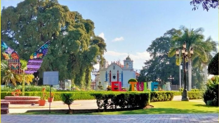 Este pueblito oaxaqueño cuenta con un gigante milenario y está rodeado de verdes praderas ideales para esta época de lluvias