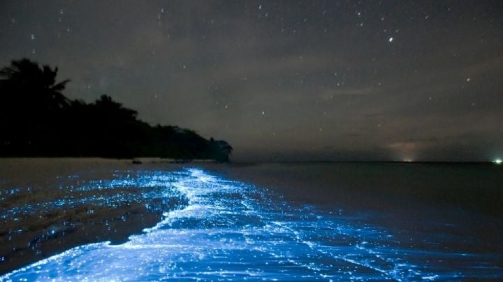 La laguna mágica de OAXACA que por la noche se ilumina como si fuera un cielo estrellado