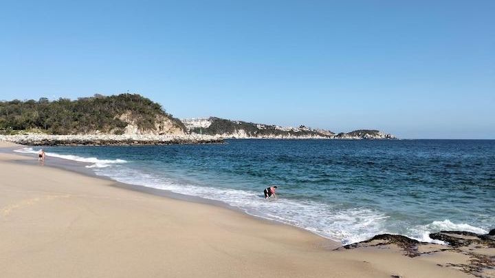 Vacaciones de verano: ¿Cuáles son las playas de OAXACA aptas para nadar, según la Cofepris?