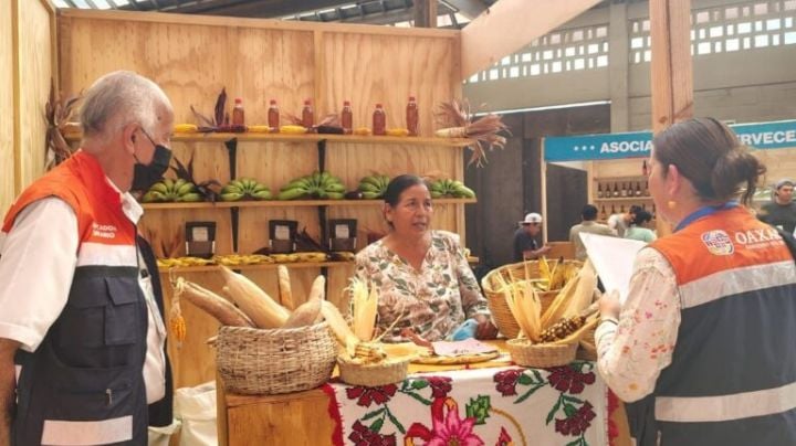 Ponen en marcha operativo para proteger la salud de visitantes durante la Guelaguetza 2025