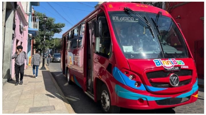Lanzan convocatoria para ser operador del BinniBus en OAXACA; ¿Cuáles son los requisitos y prestaciones de la vacante?